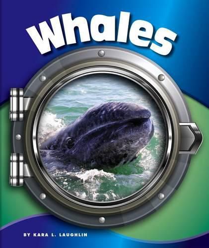 Whales