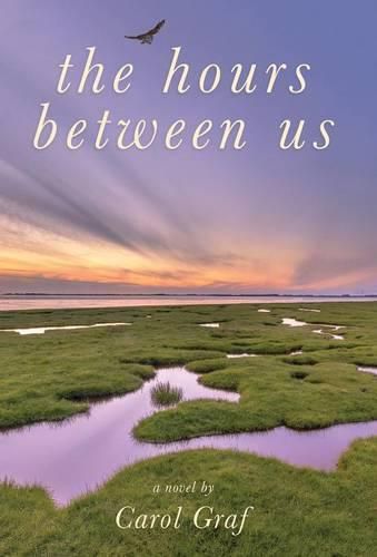 Cover image for The Hours Between Us