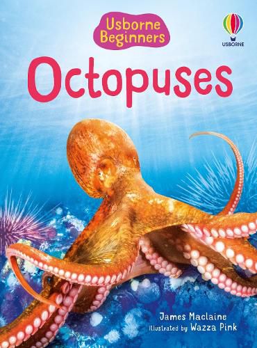 Cover image for Beginners Octopuses