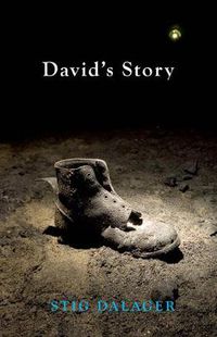 Cover image for David's Story