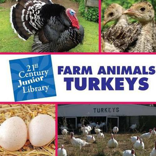 Cover image for Farm Animals: Turkey