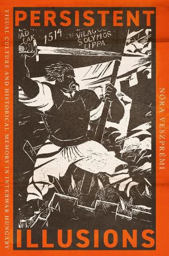 Cover image for Persistent Illusions