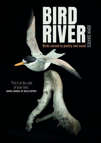 Cover image for Bird River