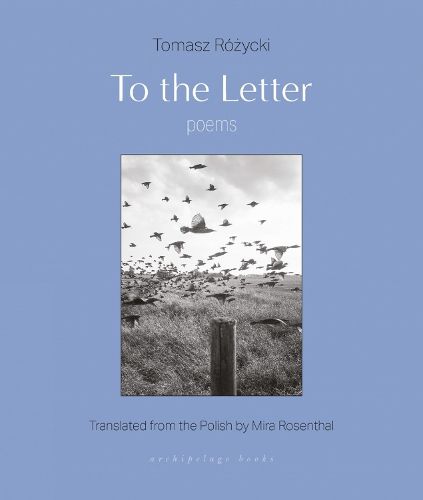 Cover image for To the Letter