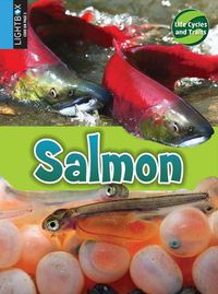 Cover image for Salmon