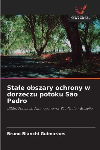 Cover image for Stale obszary ochrony w dorzeczu potoku Sao Pedro