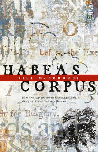 Cover image for Habeas Corpus