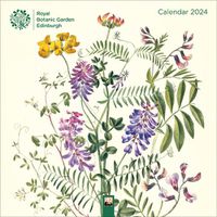 Cover image for Royal Botanic Garden Edinburgh Wall Calendar 2024 (Art Calendar)