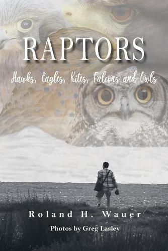 Cover image for Raptors: Hawks, Eagles, Kites Falcons and Owls