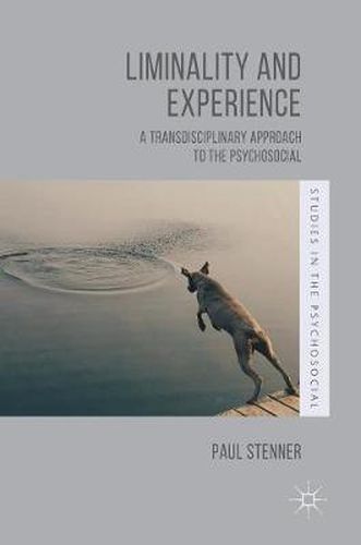 Cover image for Liminality and Experience: A Transdisciplinary Approach to the Psychosocial