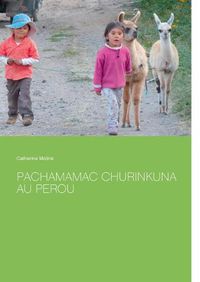 Cover image for Pachamamac Churinkuna au Perou