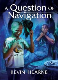 Cover image for A Question of Navigation