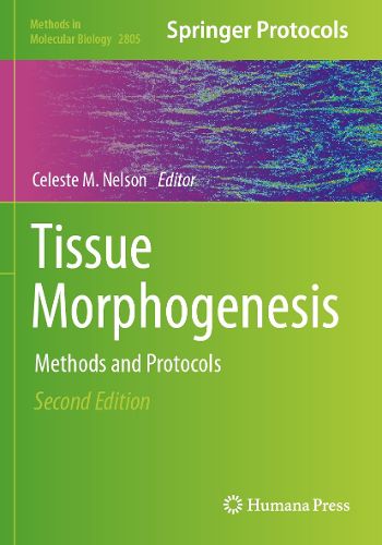 Cover image for Tissue Morphogenesis