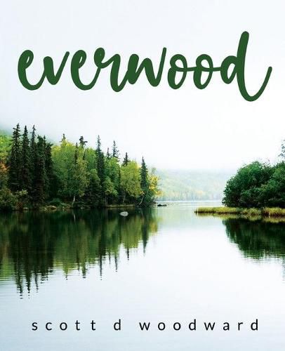 Cover image for everwood