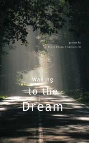 Cover image for Waking to the Dream