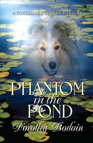 Cover image for Phantom in the Pond