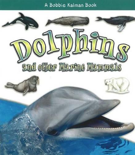 Cover image for Dolphins and Other Marine Mammals