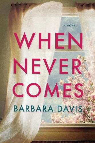 Cover image for When Never Comes