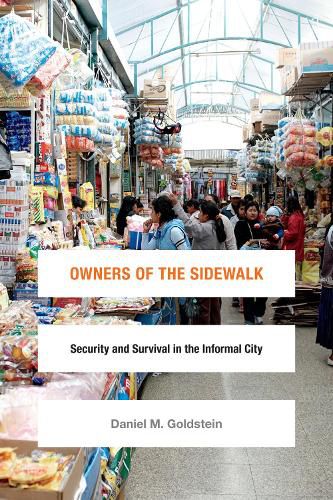 Cover image for Owners of the Sidewalk: Security and Survival in the Informal City