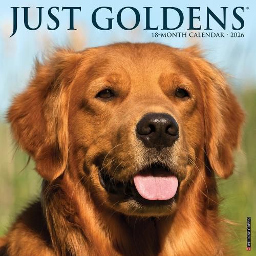 Cover image for Goldens 2026 12 X 12 Wall Calendar
