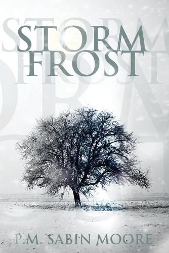 Cover image for Storm Frost