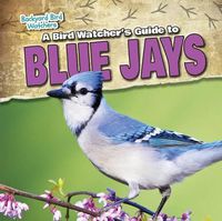 Cover image for A Bird Watcher's Guide to Blue Jays