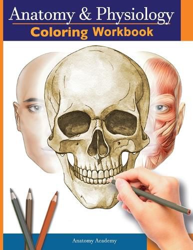 Cover image for Anatomy and Physiology Coloring Workbook