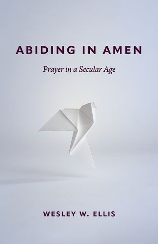 Cover image for Abiding in Amen