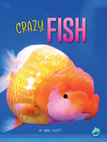 Crazy Fish