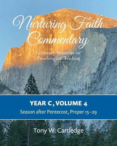 Cover image for Nurturing Faith Commentary, Year C, Volume 4