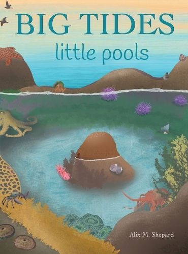 Cover image for Big Tides Little Pools