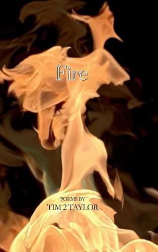 Cover image for Fire