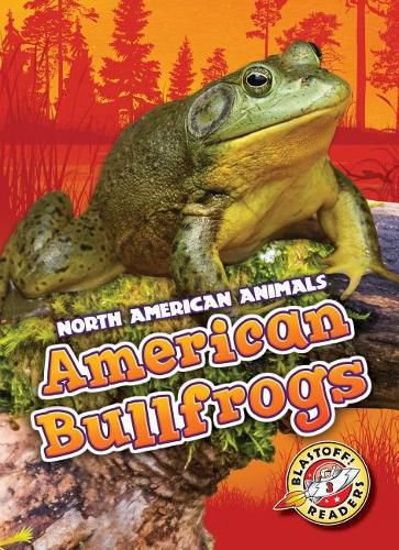 Cover image for American Bullfrogs