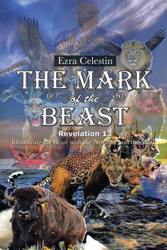 Cover image for The Mark of the Beast Revelation 13