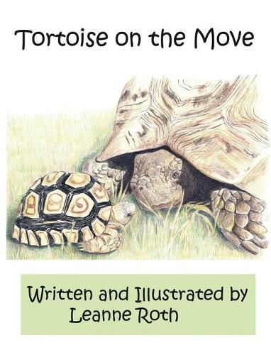 Cover image for Tortoise on the Move