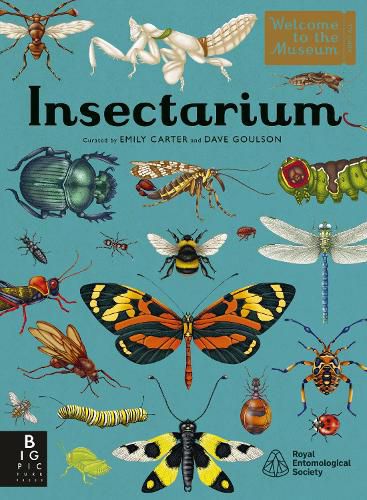 Cover image for Insectarium