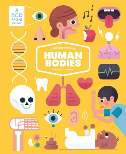 Little-known Facts: The Human Body