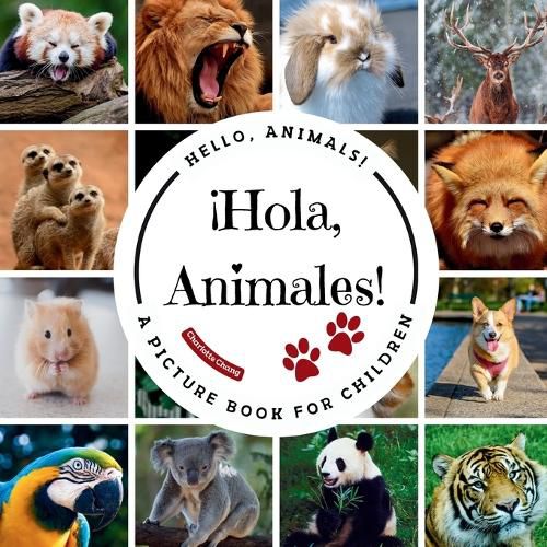 Cover image for !Hola, Animales!