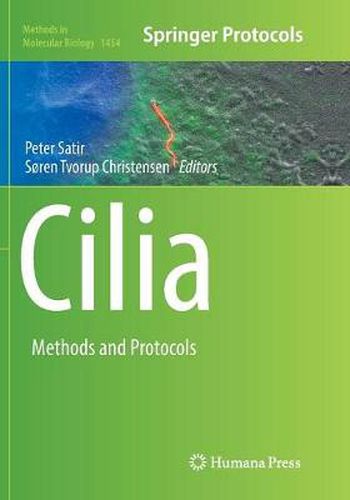 Cover image for Cilia: Methods and Protocols