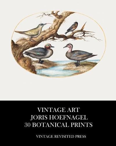 Vintage Art: Joris Hoefnagel 30 Botanical Prints