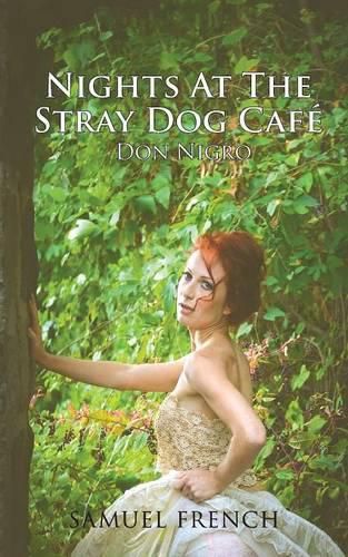 Cover image for Nights at the Stray Dog Cafe