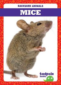 Cover image for Mice