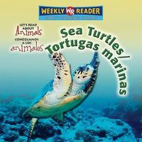 Cover image for Sea Turtles / Tortugas Marinas