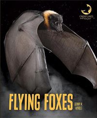 Cover image for Flying Foxes