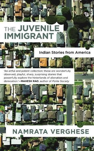 Cover image for The Juvenile Immigrant: Indian Stories from America