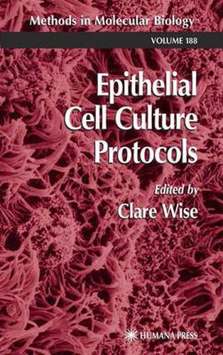 Cover image for Epithelial Cell Culture Protocols