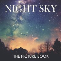 Cover image for The Picture Book of Night Sky