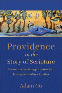Cover image for Providence in the Story of Scripture