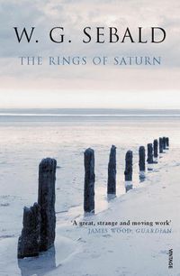 Cover image for The Rings of Saturn: (Vintage Voyages)