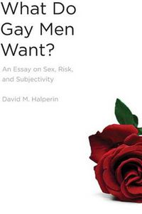 Cover image for What Do Gay Men Want?: An Essay on Sex, Risk, and Subjectivity